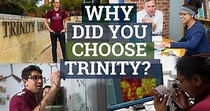 Why Did You Choose Trinity University?