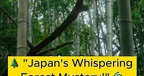 Japan's Sea of Trees: The Enigmatic Aokigahara Forest! #japan #mysteryforest