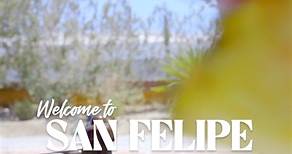 Tus vacaciones serán las más completas, gracias a Hotel Las Palmas, San Felipe Sea of Cortez. ¡Sabemos que disfrutarás de los mejores días en este lugar! Descubre más acerca de esta opción para tu hospedaje: 🖇️ https://laspalmassanfelipe.com/es/ #WelcomeToSanFelipe #WelcomeToBajaCalifornia | San Felipe, Baja California