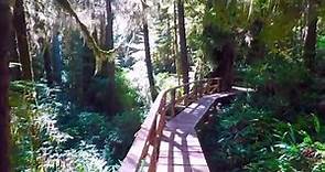 Rainforest Trail - Pacific Rim National Park Reserve