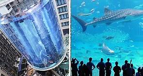 15 Largest Aquariums in the World