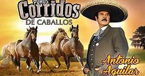 Antonio Aguilar Puros Corridos de Caballos - Antonio Aguilar MIX (CON BANDA) ''EPICENTER''