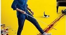 Andhadhun (2018) Online - Película Completa en Español / Castellano - FULLTV