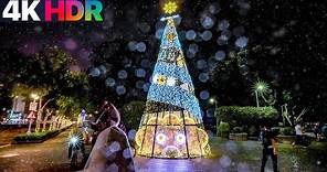 4K HDR｜台北大安森林公園耶誕燈飾 2022｜Taipei Daan Park Christmas Lights
