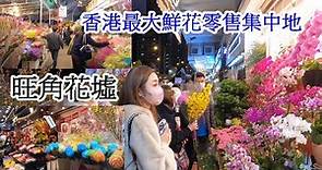 Hong Kong largest flower wholesale and retail market, MongKok Flower Market 香港最大鮮花批發零售集中地，旺角花墟