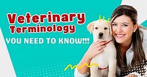 Understanding Common Veterinary Terminology