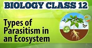 Types of Parasitism in an Ecosystem - Organisms and Environment 2 - Biology Class 12