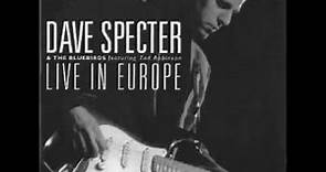 Dave Specter & The Bluebirds - Live in Europe - full album