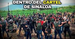 El Cártel de Sinaloa desde adentro: así funciona la organización criminal más PODEROSA del mundo