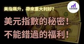 美元指數的秘密！自測，美金投資人重大福利，快看你有嗎？【D的財富鏈/美股/投資】