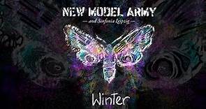 NEW MODEL ARMY & SINFONIA LEIPZIG 'Winter (Orchestral Version)' - Official Video