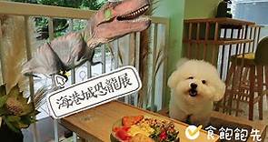 尖沙咀🐶海港城恐龍展🦖青蛙主題寵物友善餐廳分享🥰❤️【小腳掌大世界🐾】