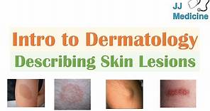 Introduction to Dermatology | The Basics | Describing Skin Lesions (Primary & Secondary Morphology)