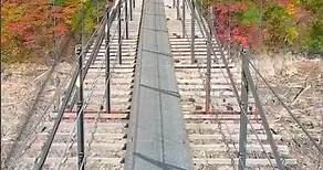 Puente colgante japonés en Shizuoka 🎌
