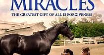 Everyday Miracles - película: Ver online en español