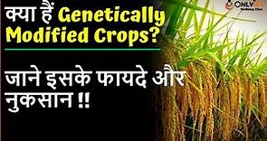 Genetically Modified Crops || Does India Need Genetically Modified Crops? || UPSC 2022 || @OnlyIasnothingelse