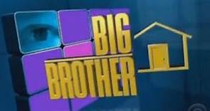 Big Brother S12E21 Big Brother Episode 21