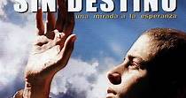 Sin destino - película: Ver online completas en español