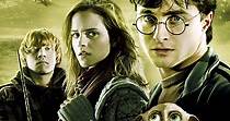 Harry Potter y las Reliquias de la Muerte - Parte 1 online