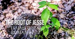 The Root of Jesse. Jesus in the Old Testament?