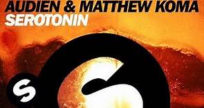 Audien & Matthew Koma - Serotonin (Original Mix)