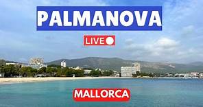 🔴LIVE in Palmanova (Majorca) Mallorca | 14 January 2024