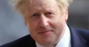 The Truth About Boris Johnson's Hair Revealed