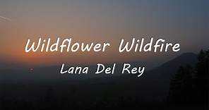 Lana Del Rey - Wildflower Wildfire (Lyrics)