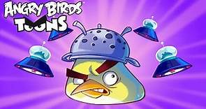 Angry Birds Toons Season 3 | Ep. 16 to 20