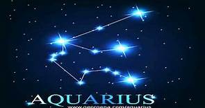Aquarius Horoscope for 2013
