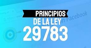 PRINCIPIOS DE LA LEY 29783 - Ley de Seguridad y Salud en el Trabajo