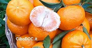 Il mandarino è tra i frutti più amati, ecco perché
