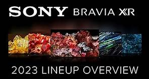 SONY 2023 TV Lineup Overview - Full Guide to help you choose the best one for you!