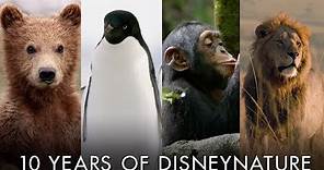 Celebrating 10 Years of Disneynature