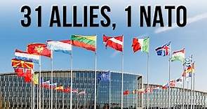 31 Allies, 1 NATO