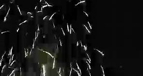 The Daily Item - Sunbury Fireworks
