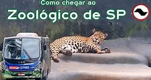 [22] Como Chegar ao Zoológico de São Paulo