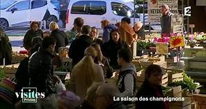 Le marché de Brive-la-Gaillarde - Visites privées