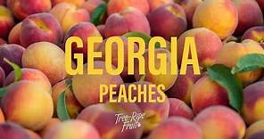 Why Georgia Peaches? | Tree-Ripe Fruit Co.