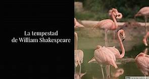 La tempestad (Resumen) de William Shakespeare