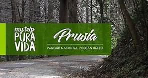 Sector Prusia, Parque Nacional Volcán Irazú | Cartago, Costa Rica