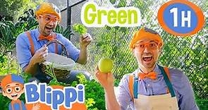 Blippi Learns Colors with Fruits and Vegetables | Healthy Snacks | Educational Videos for Kids