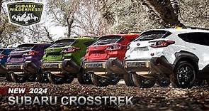 2024 Subaru Crosstrek Wilderness - All Colors for Most Capable New Crosstrek