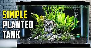 How To Build A Beautiful Planted Tank For Fish (Easy)