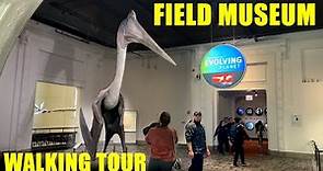 Field Museum - Chicago Natural History Museum - Full Walkthrough - Walking Tour - Relaxing - 4K