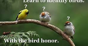 Pathfinder Bird Honor