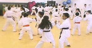 Shotokan Karate England