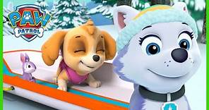 Everest Rescues Skye on the Mountain! 🗻 | PAW Patrol Rescue Episode ...