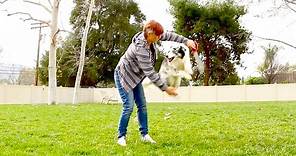 Jump Though a Hoop! - Dog Trick Tutorial