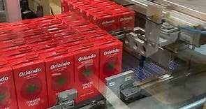 La fábrica de tomate Orlando en Alfaro (La Rioja) desde dentro